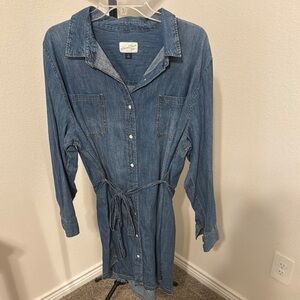 Blue Denim Shirt Dress